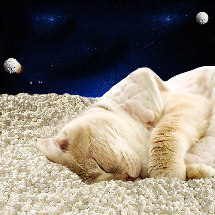 Tofu Fresh Scented Space Litter