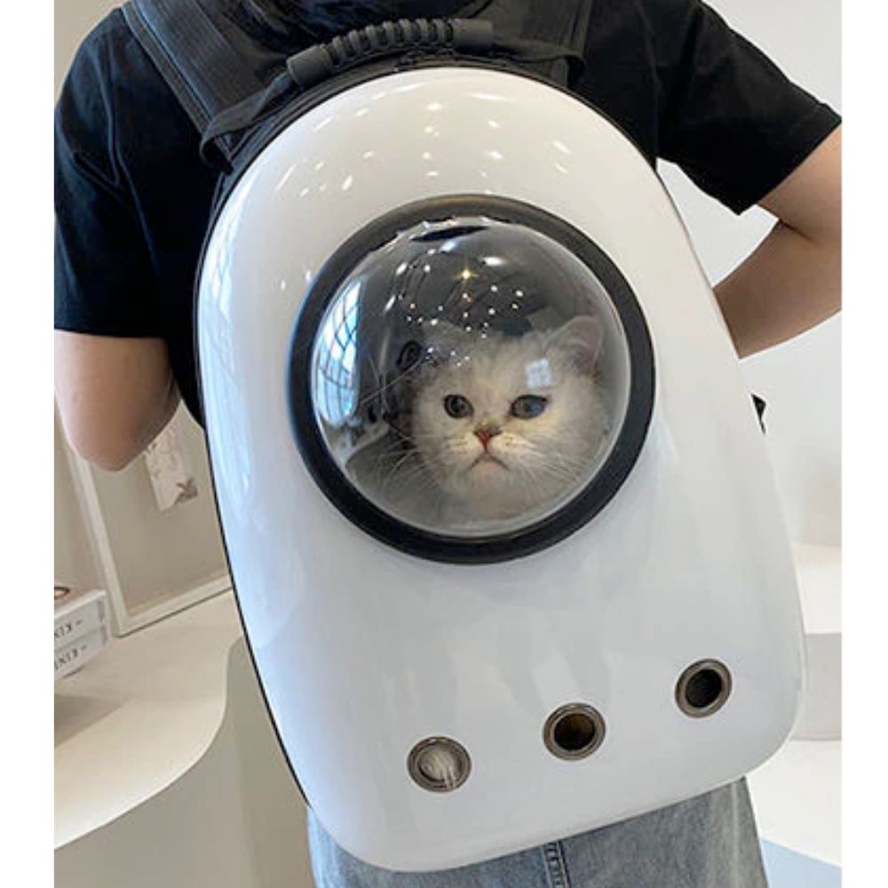 Mochila de viaje rígida para mascotas