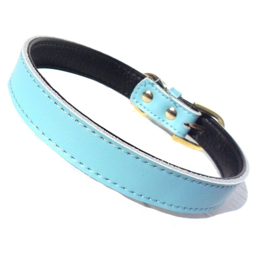 Collares Chelsea lisos para perros (4 tamaños) de 8 a 16 pulgadas
