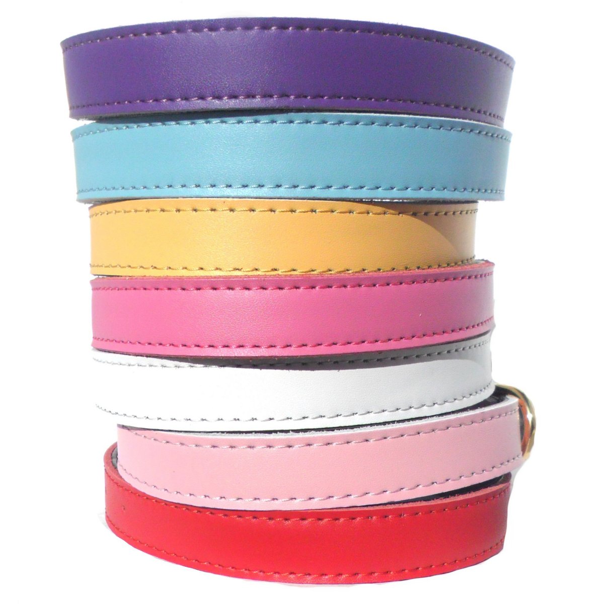 Collares Chelsea lisos para perros (4 tamaños) de 8 a 16 pulgadas
