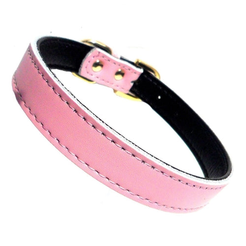 Collares Chelsea lisos para perros (4 tamaños) de 8 a 16 pulgadas