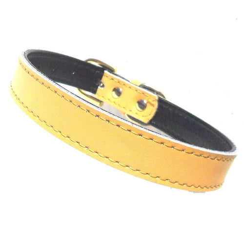 Collares Chelsea lisos para perros (4 tamaños) de 8 a 16 pulgadas
