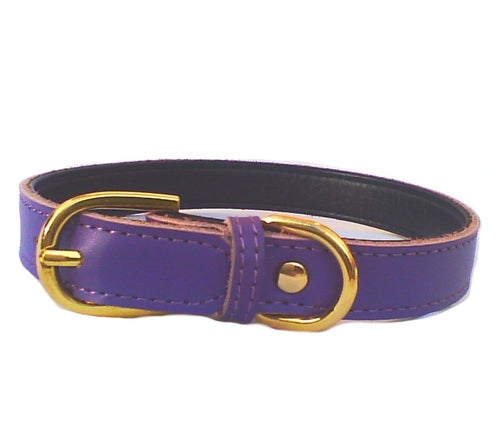Collares Chelsea lisos para perros (4 tamaños) de 8 a 16 pulgadas
