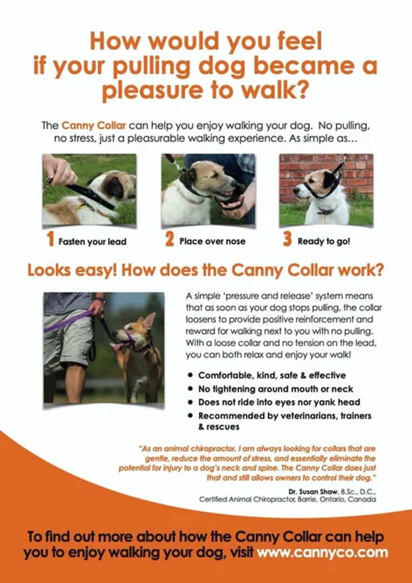 Canny Collar Countertop Display Box for Effective Leash Training