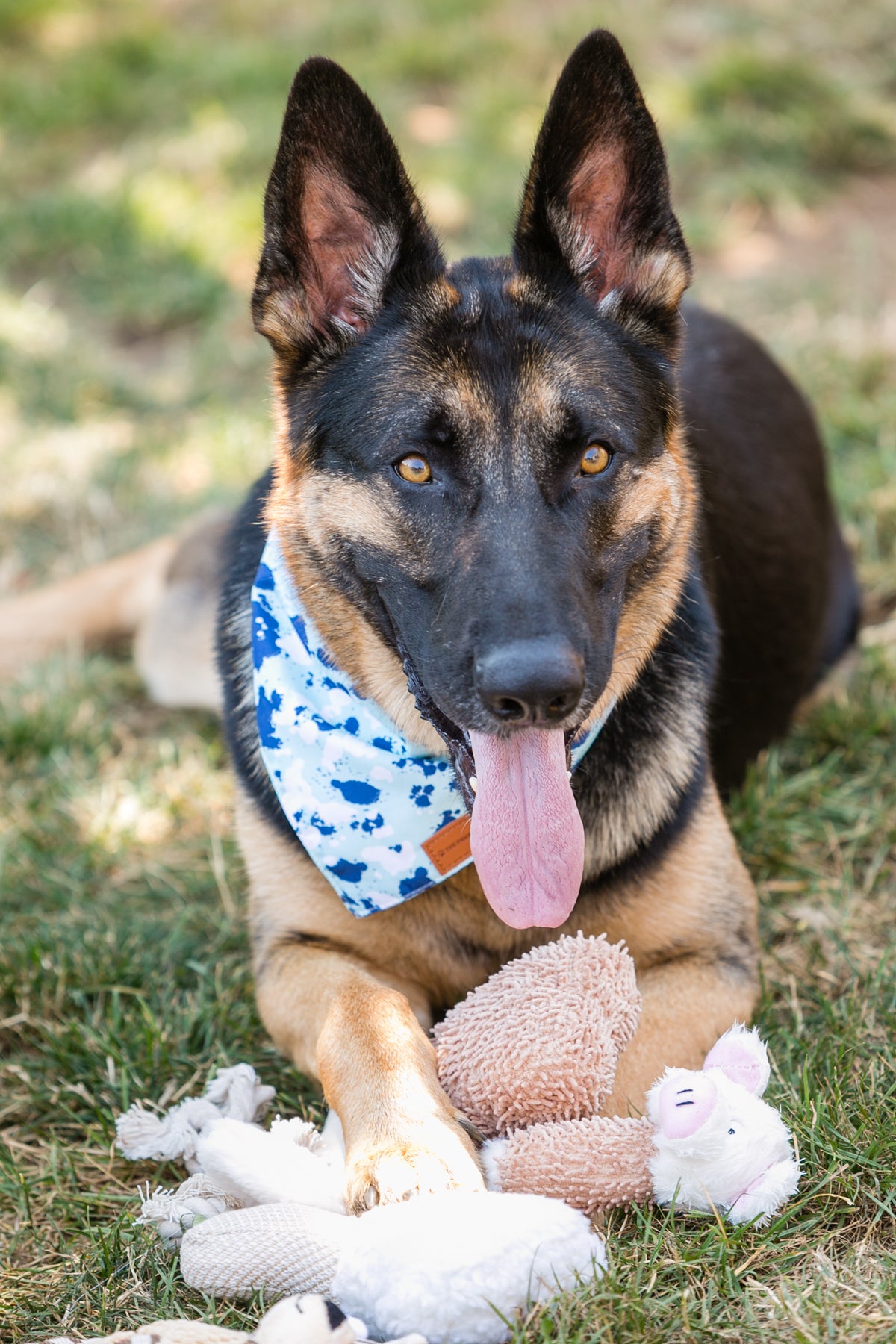 Juego de 6 adorables juguetes de peluche para perros con envío rápido