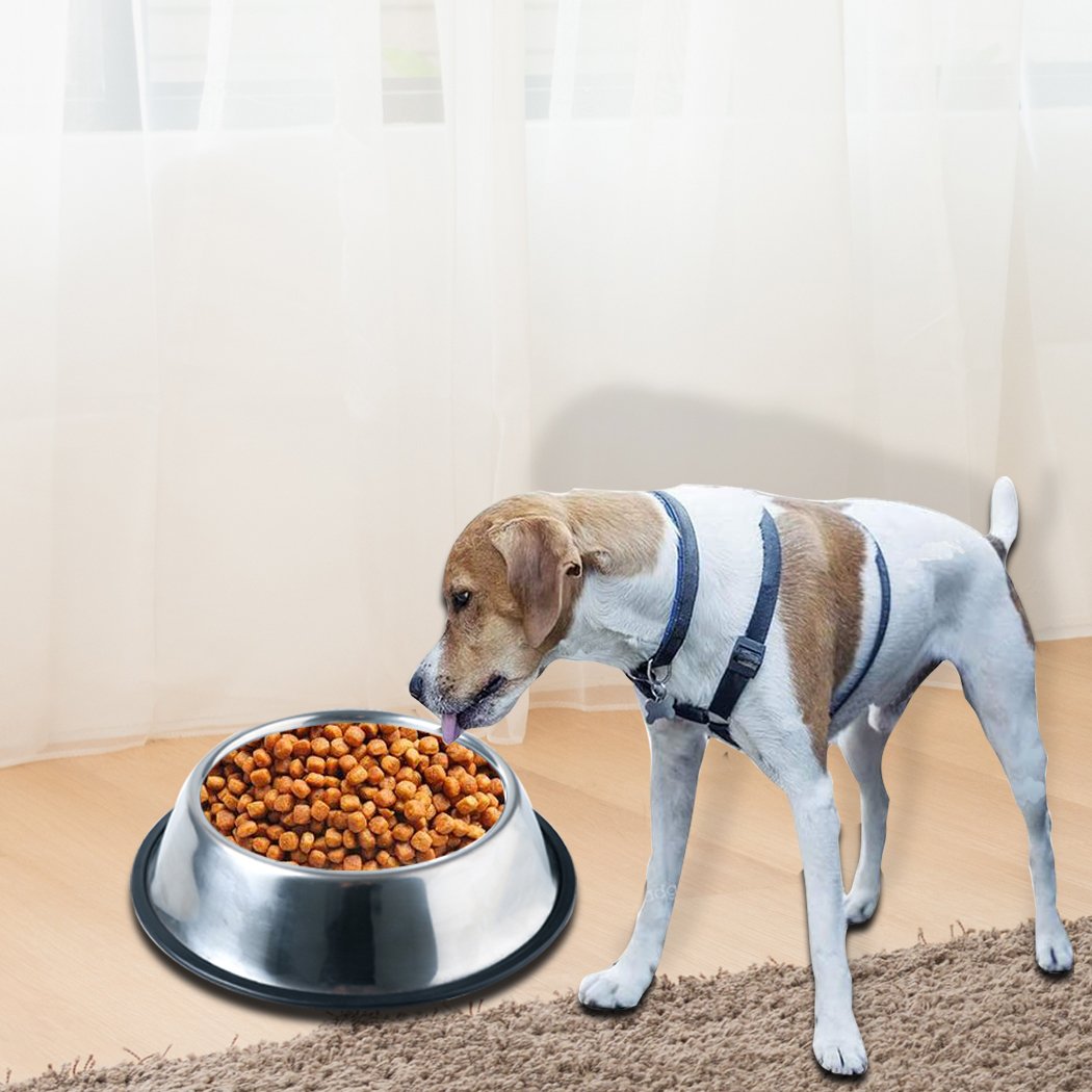 Comedero para mascotas PaWz de acero inoxidable antideslizante para perros, gatos, cachorros, agua y comida