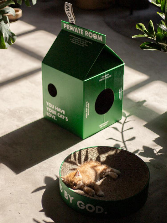 Rascador de cartón corrugado ecológico de primera calidad para arena de gatos