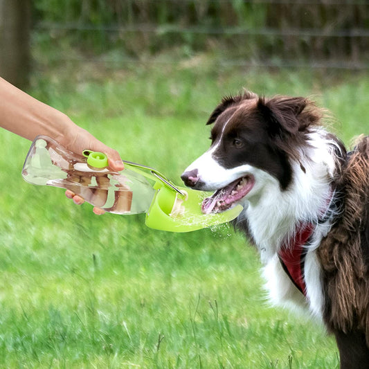 Dispensador de agua portátil para mascotas, comedero a prueba de fugas