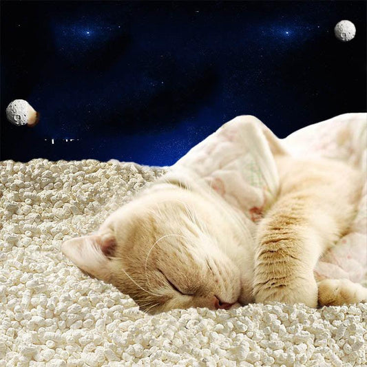 Tofu Fresh Scented Space Litter