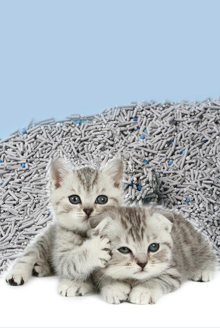 6L Activated Charcoal Tofu Litter With Natural Deodorizing Power
