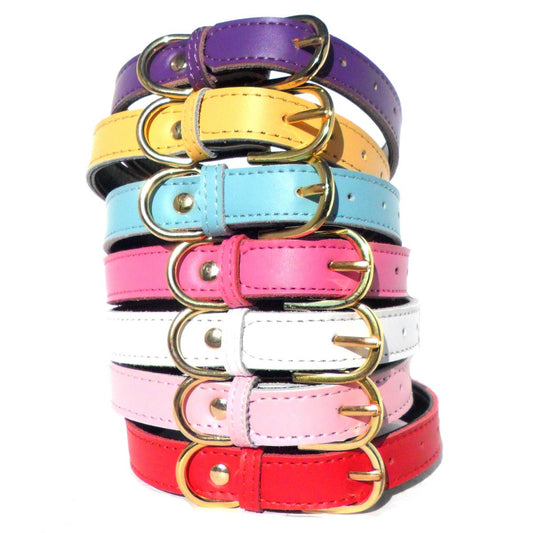 Collares Chelsea lisos para perros (4 tamaños) de 8 a 16 pulgadas