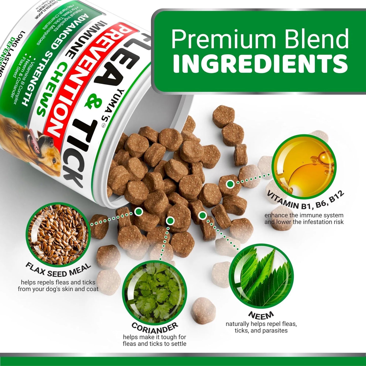 Flea And Tick Prevention For Dogs Chewables 170 Treats Natural Dog