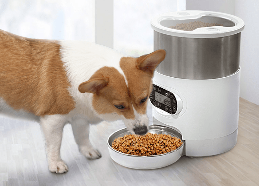 Comedero para mascotas con control remoto Smartpaws: dispensador automático de comida con